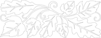 Ap1000 Autleavesappliquerunner