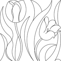 Tulipe2e