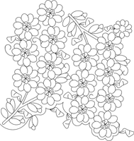 Calcynia E2e