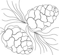 Dk3611panto
