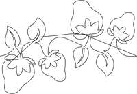Dspanto10