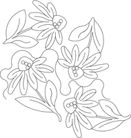 Echinacea E2e