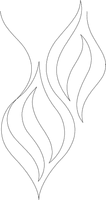 Js193387 Onion Skin