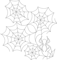 Jspanto255v1 Spider N Web