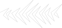 Kp Electric Avenue
