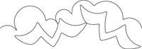 Seagull Border