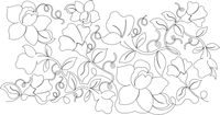 Loris Flower Pano