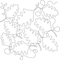 Naked White Oak Pano