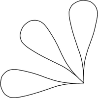 Clamshell With Loop Corner Triple