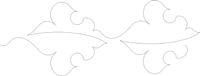 Fleur Des Lys