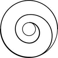 Spiralbrdr