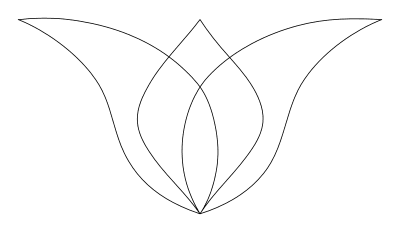 Tulip