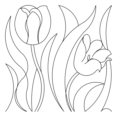 Tulipe2e