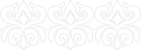 Curvy Border