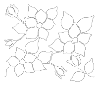 Magnolia