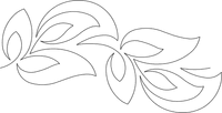 Lad90063