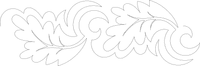 Pr105243 English Oak