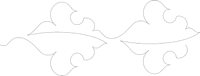 Fleur Des Lys