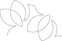 JUJU